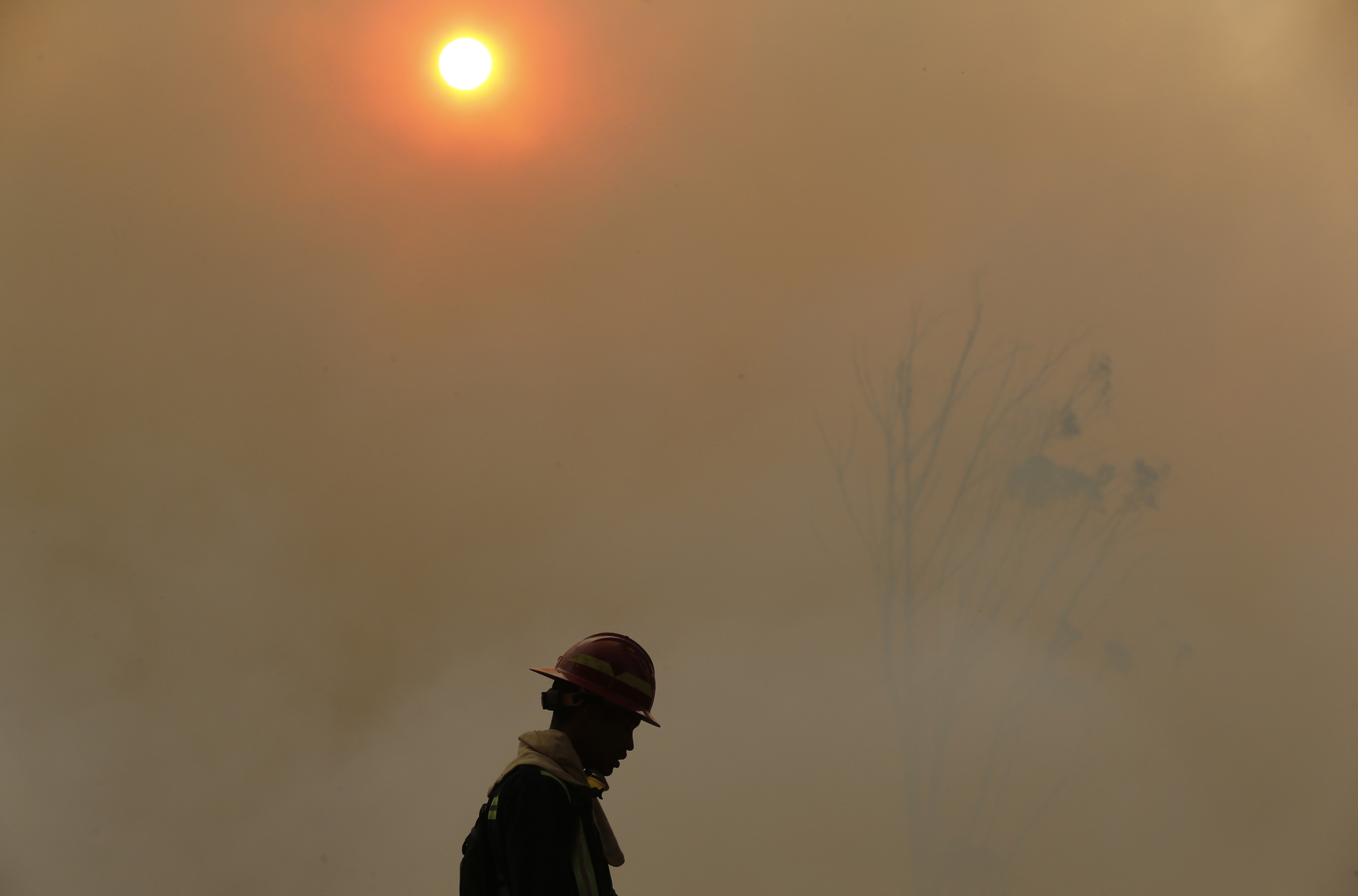 Smoke shrouds a firefighter as a bushfire burns above Cape Town's Tokai forest