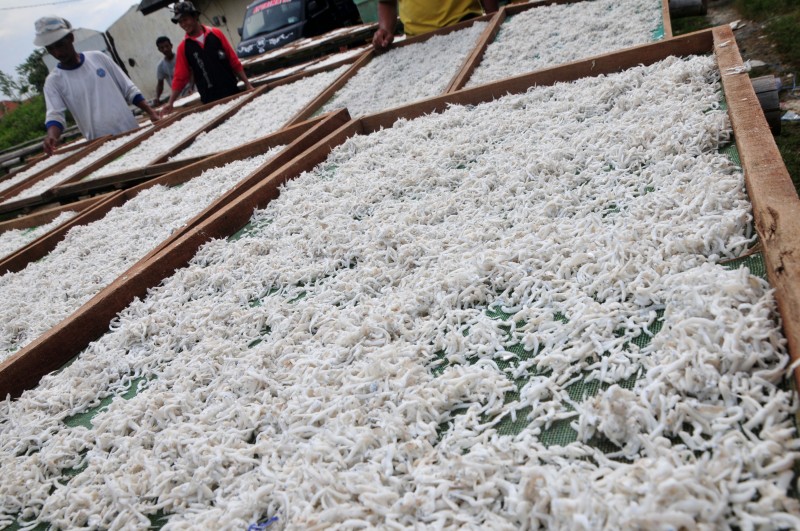 Pekerja menjemur teri nasi di industri pengolahan teri Desa Munjung Agung,
