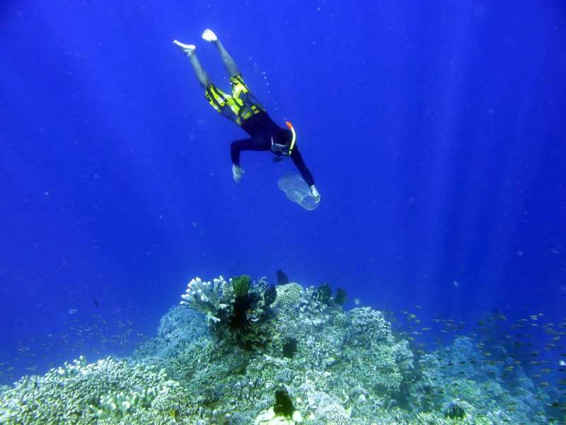 Warga menyelam untuk mengambil sampah di terumbu karang taman laut Olele, Kabupaten Bonebolango, Gorontalo, Selasa (15/9).