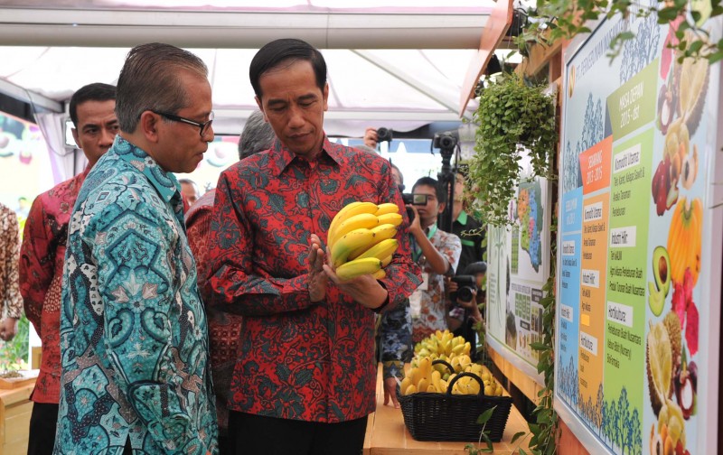 Hasil Buah Tanah Air di Festival Buah Nasional 2015 di Lapangan Institut Pertanian Bogor