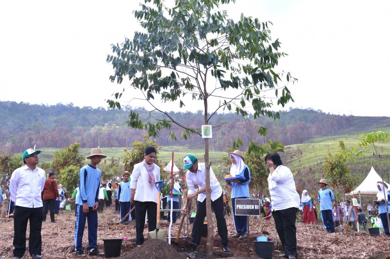Peringatan Hari Menanam Pohon Indonesia dan Bulan Menanam Nasional serta Hari Cinta Puspa dan Satwa Nasional Tahun 2015 di Taman Hutan Raya Sultan Adam Kalimantan Selatan