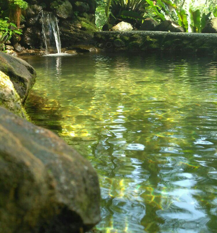 Ilustrasi mata air pegunungan