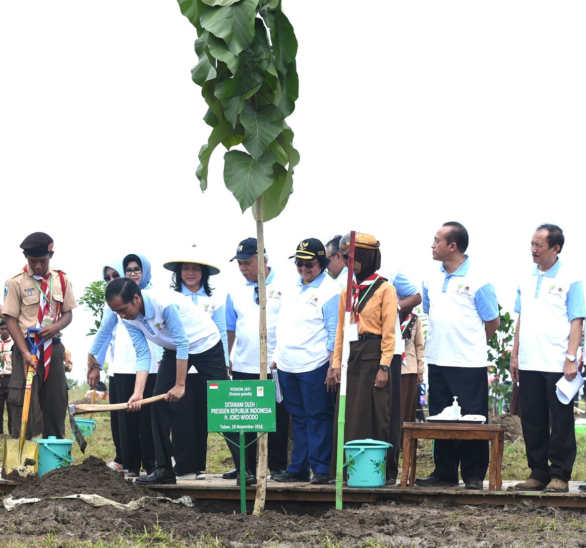 Penanaman pohon secara serentak sebanyak 238.000 batang pohon dalam waktu satu jam oleh 5.500 orang di Kabupaten Tuban
