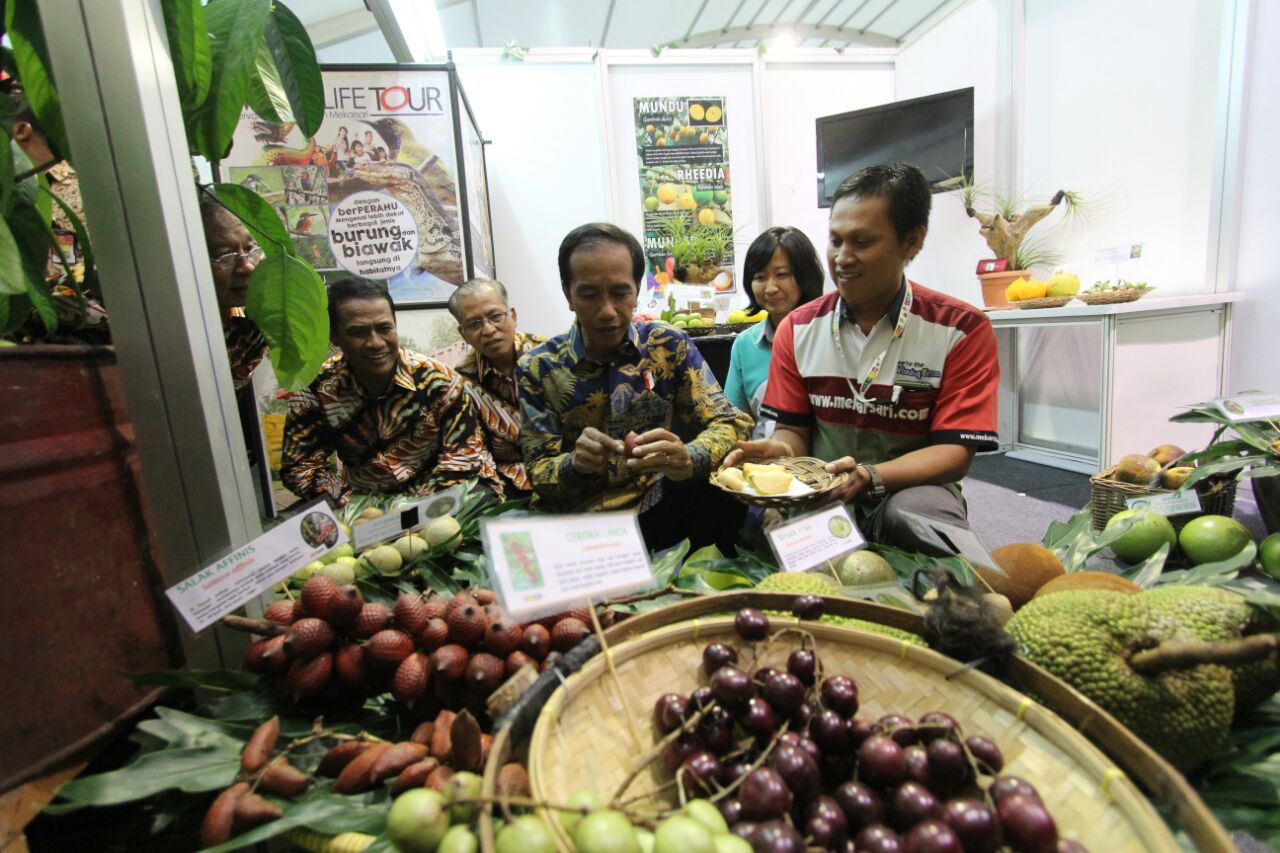 Pencanangan Gemar Makan Buah Nusantara dalam rangka Fruit Indonesia 2016,4