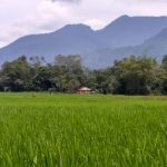 Strategi Indonesia Bertahan dan Tumbuh Indonesia