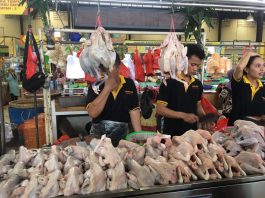 Ayam Ras