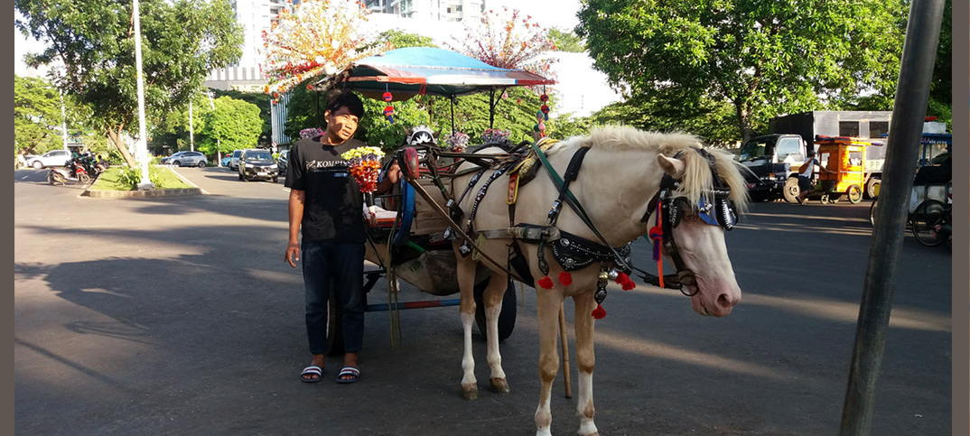 delman jakarta