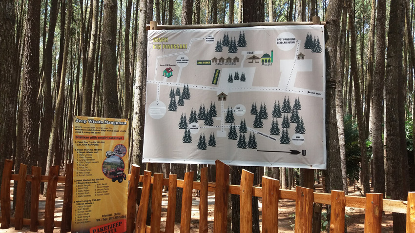 hutan mangunan imogiri
