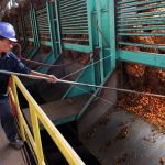 Industri kelapa sawit