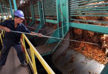 Industri kelapa sawit