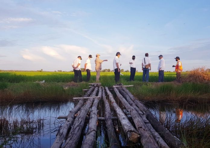 Menteri PUPR meninjau area lumbung pangan baru di Kalimantan Tengah