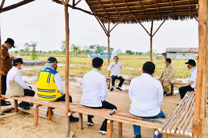 Kunjungan kerja Presiden Joko Widodo ke Kabupaten Kapuas, Kalimantan Tengah untuk meninjau lokasi pengembangan lumbung pangan nasional