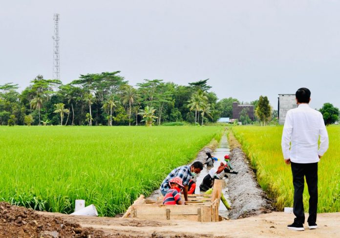 Presiden Joko Widodo meninjau jaringan irigasi lumbung pangan baru di Pulang Pisau, Kalimantan Tengah