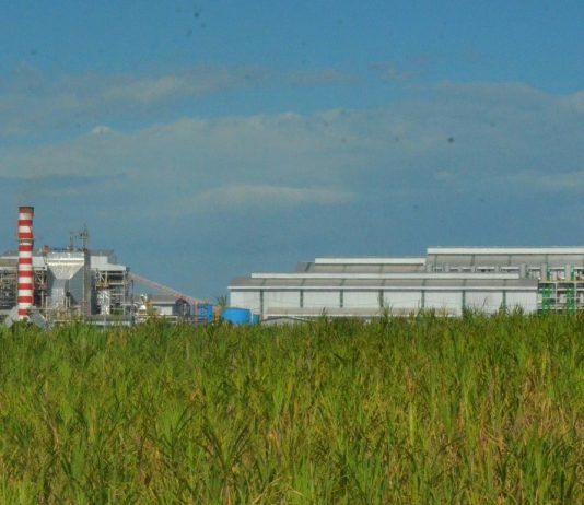 Industri Agro