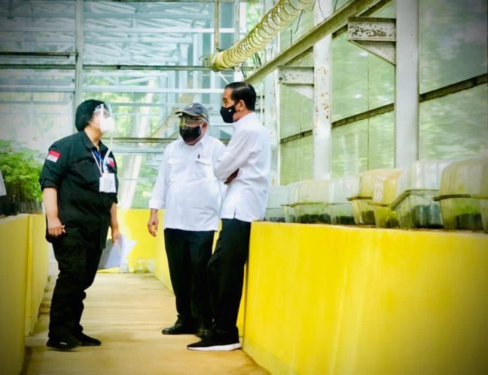 Presiden Joko Widodo meninjau Pusat Sumber Benih dan Persemaian Rumpin yang merupakan lokasi tempat persemaian yang terletak di Kecamatan Rumpin, Kabupaten Bogor, Jawa Barat