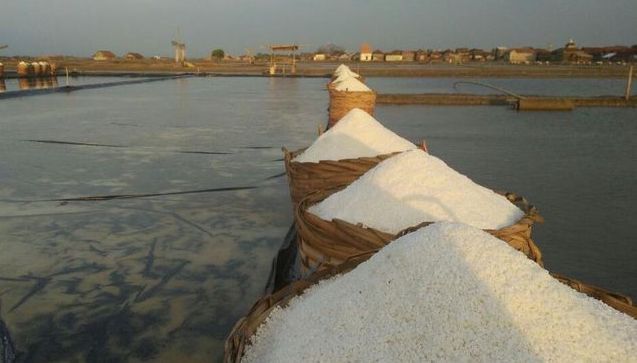 Garam untuk industri (Foto garampedia)