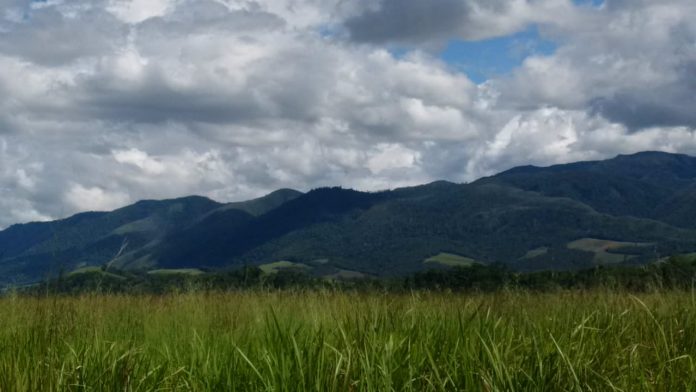 Suasana padang rumput hijau dan bukit dan langit serta awan di sekitar bangunan Sekolah (Foto Vibizmedia)