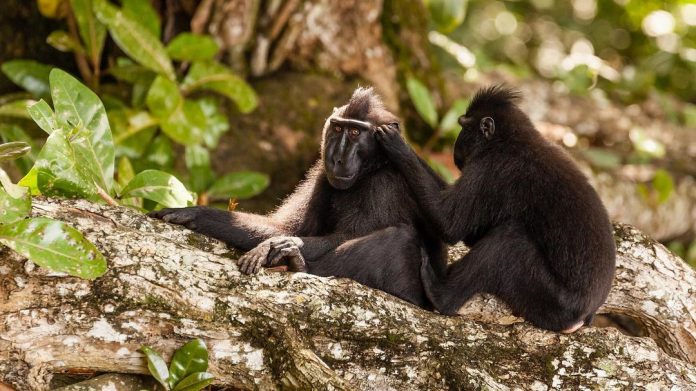 foto.elebe_1614430732226900 (1)