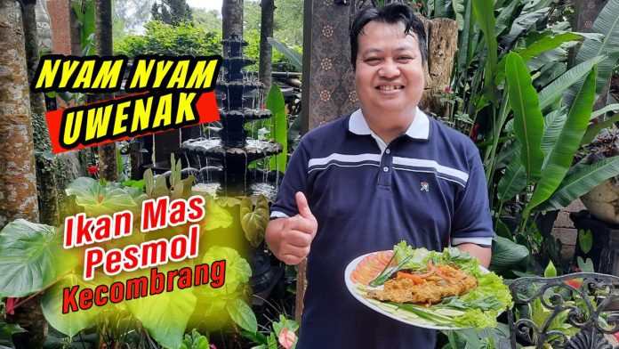 r NNU pesmol kecombrang