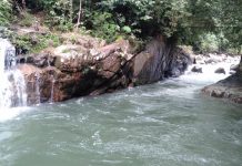 Hutan Kemenyan