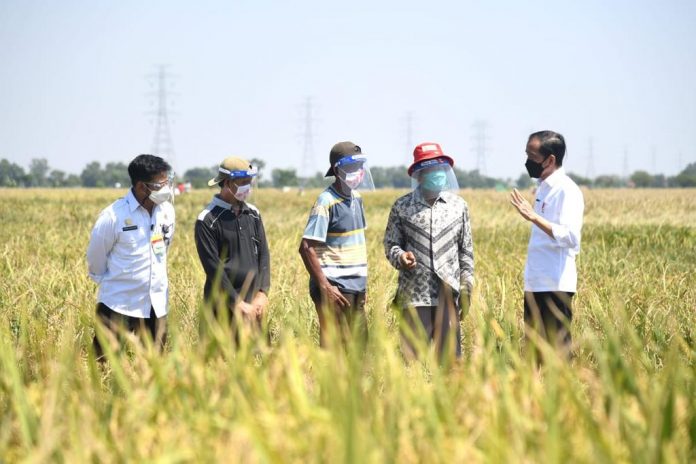 Presiden Joko Widodo berdialog dengan para petani di Desa Wanasari, Indramayu, Jawa Barat, pada Rabu, 21 April 2021