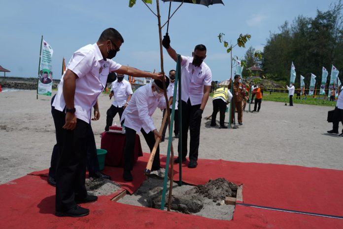 Wakil Presiden Ma’ruf Amin melakukan penanaman pohon di Pantai Kata, Kota Pariaman, Sumatera Barat guna mitigasi bencana