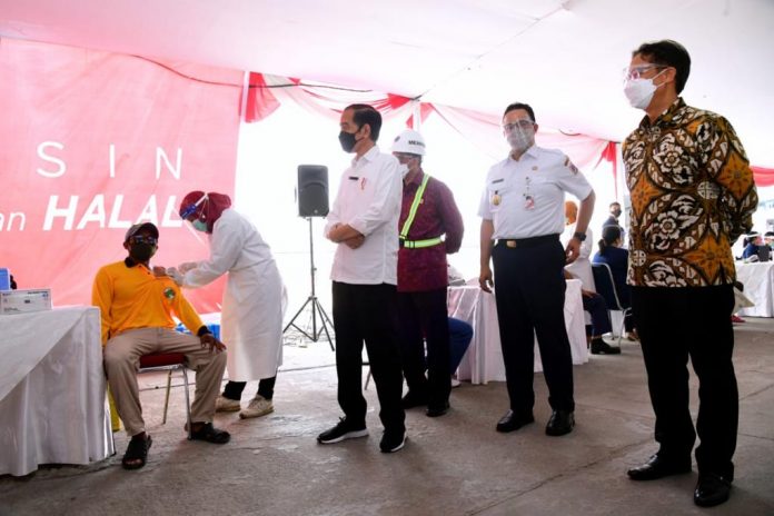Presiden Jokowi saat meninjau vaksinasi COVID-19 massal, di Pelabuhan Sunda Kelapa, Jakarta, Kamis (10 Juni 2021). (Foto BPMI Setpres)