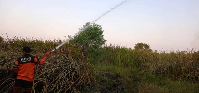 Upaya pemadaman oleh petugas BPBD Kabupaten Ogan Ilir, Sumatera Selatan
