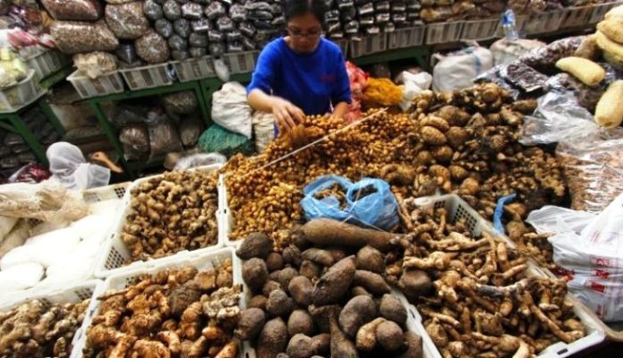 Ilustrasi bahan obat herbal