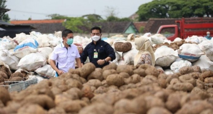 Industri olahan porang di Jawa Timur