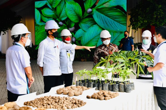 Presiden Joko Widodo berdialog dengan sejumlah perwakilan petani porang saat berkunjung ke PT Asia Prima Konjac, salah satu pabrik pengolahan porang di Kabupaten Madiun