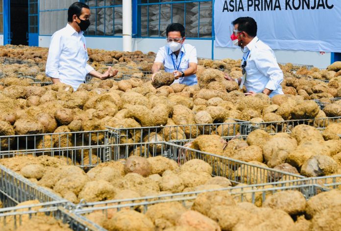 Presiden Joko Widodo meninjau pabrik pengolahan porang milik PT Asia Prima Konjac dalam kunjungan kerjanya ke Kabupaten Madiun, Jawa Timur