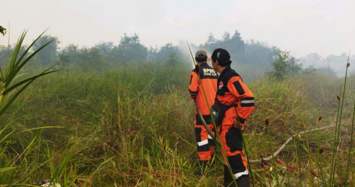 Satgas Gabungan Berhasil Padamkan 5 Hektar Lahan Terbakar di Kabupaten Ogan Ilir