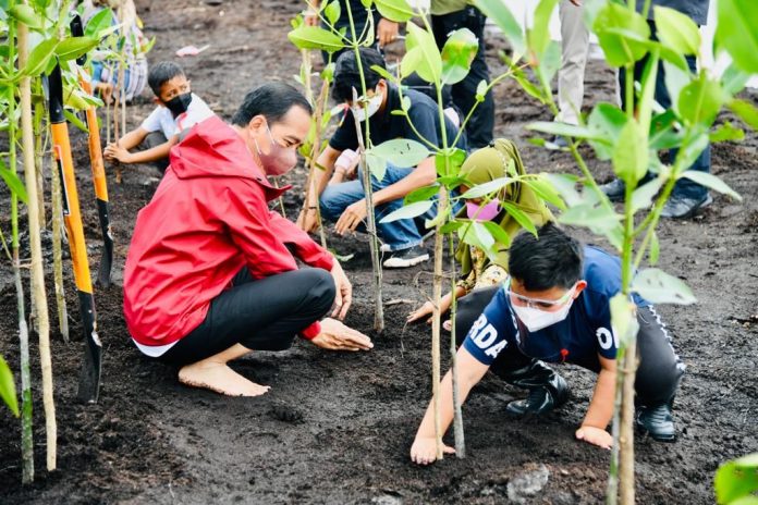 Presiden Joko Widodo melakukan penanaman pohon mangrove bersama masyarakat di Pantai Wisata Raja Kecik, Desa Muntai Barat, Kecamatan Bantan, Kabupaten Bengkalis, Provinsi Riau