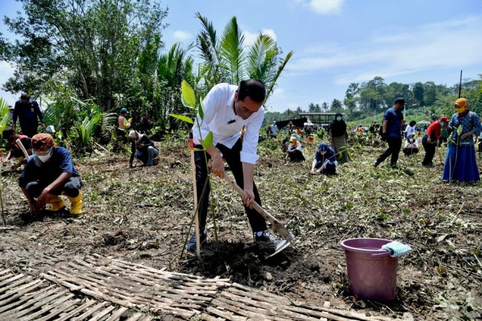Presiden Joko Widodo mengawali kunjungan kerjanya ke Kabupaten Cilacap, Provinsi Jawa Tengah, pada Kamis, 23 September 2021