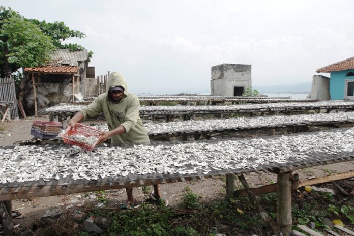 Ilustrasi industri pengolahan ikan