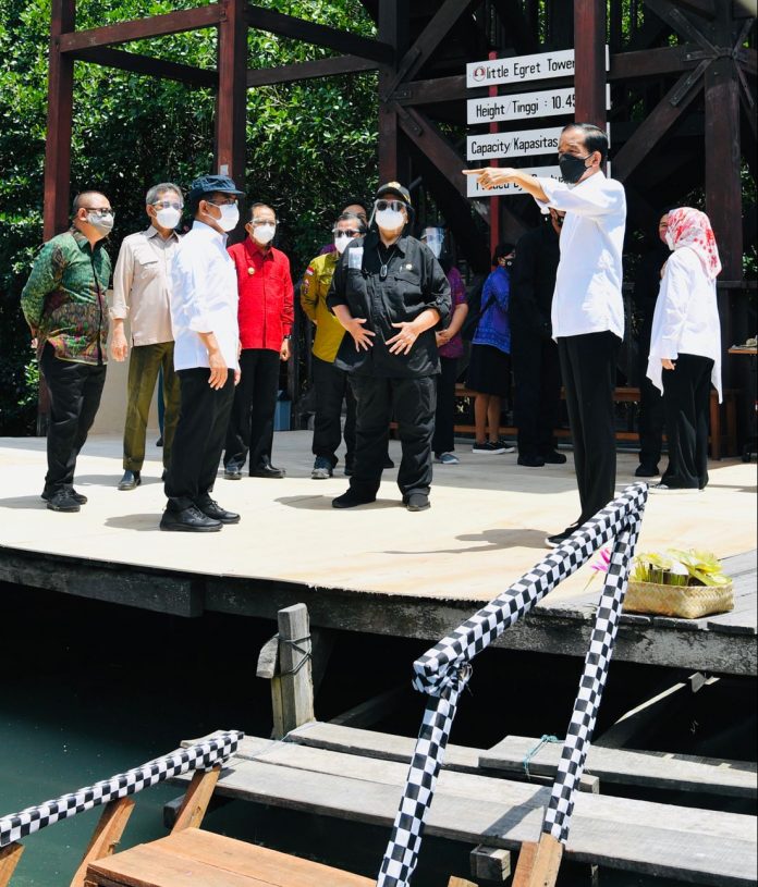 Presiden Joko Widodo meninjau hutan mangrove di Taman Hutan Raya Ngurah Rai, Bali