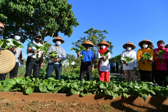 WhatsApp Image 2021-10-15 at 07.50.13