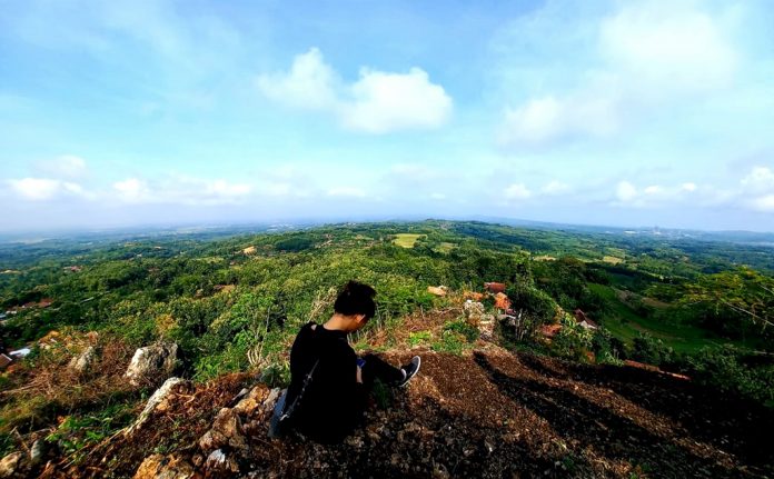 WDB Flower atau Warung Duwur Blora Flower, salah satu bukit di puncak Sayuran, Desa Soko Kecamatan Jepon Kabupaten Blora, Jawa Tengah. (Foto Infopublik)