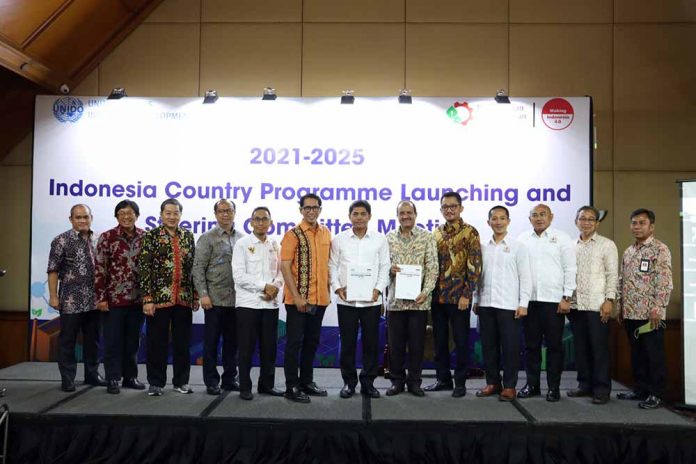 Country Programme industri nasional