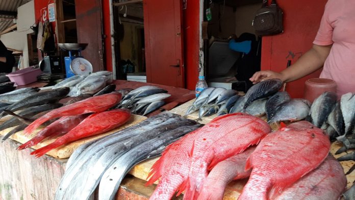 ikan