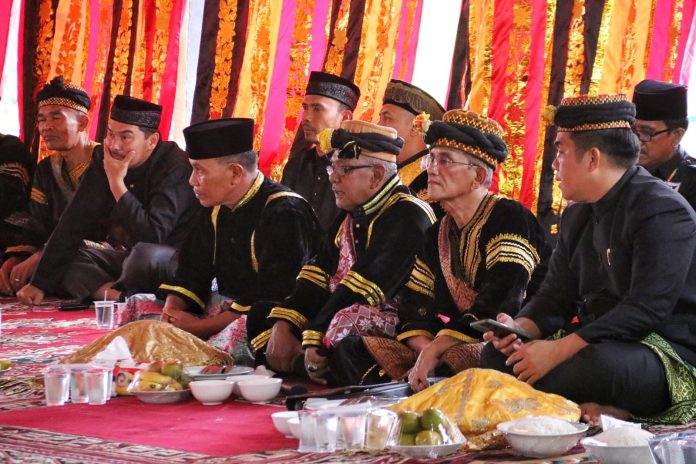 konservasi ikan belida