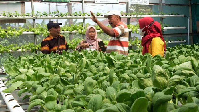 programpln untuk pertanian program pln untuk pertanian