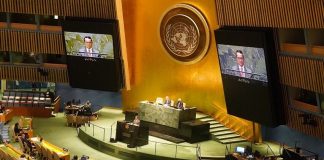 Non-Proliferation Treaty/NPT RevCon