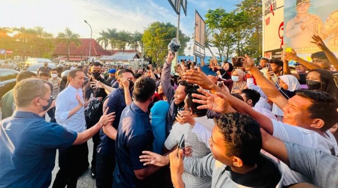 Kunjungan Kerja Presiden