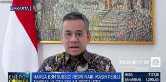 Dukungan Pemerintah Terhadap Dampak Penyesuaian Harga BBM