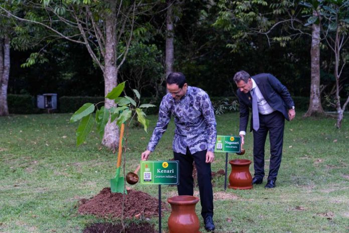 menanam pohon menanam pohon