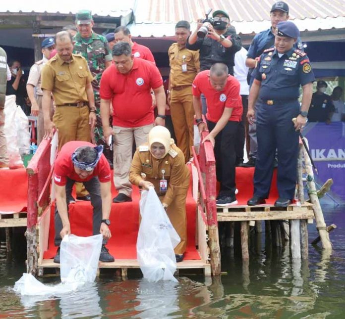 Bantuan dan Tebar Benih Kakap Putih di Tanjungpinang2