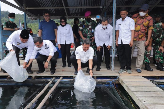 Menteri Trenggono Siapkan Kerapu Jadi Unggulan Ekspor Perikanan Anambas