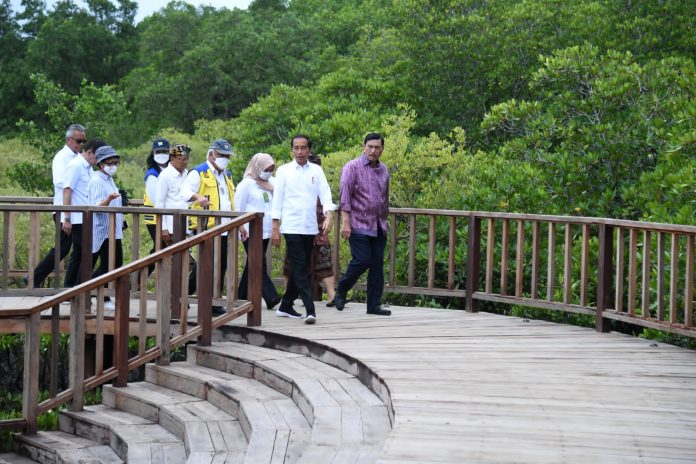 Taman Hutan Raya